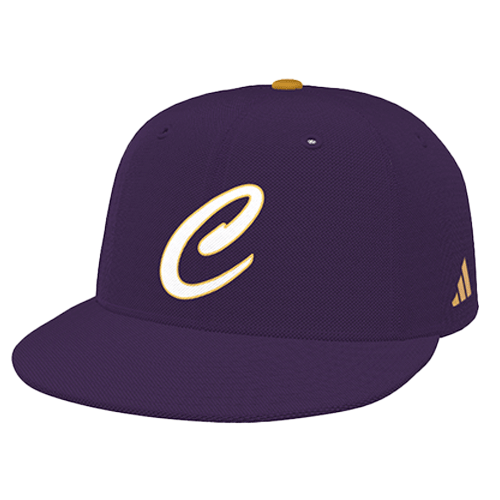Caledonia Baseball Wool Flex Cap - Purple