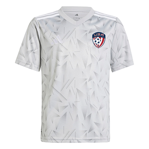 USA Youth Training Jersey - Grey