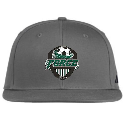 Force Snapback Cap - Gray