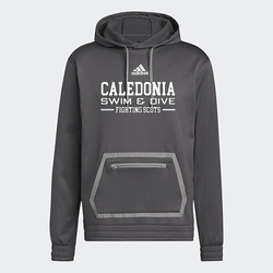 Sudadera con capucha del equipo de natación masculino de CAL - Gris