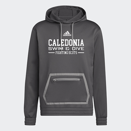 CAL Swim Men's Team Pullover Hoodie - Grey