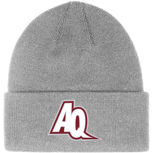 AQ Beanie - Grey